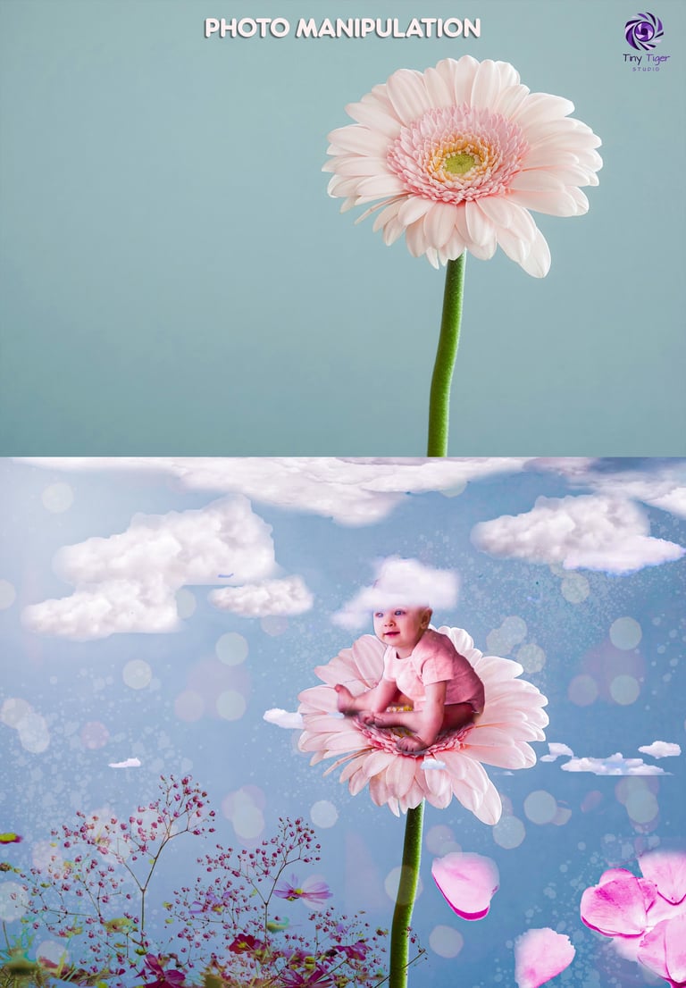 Photo manipulation showing a baby sitting on a giant pink gerbera daisy flower against a sky background with clouds