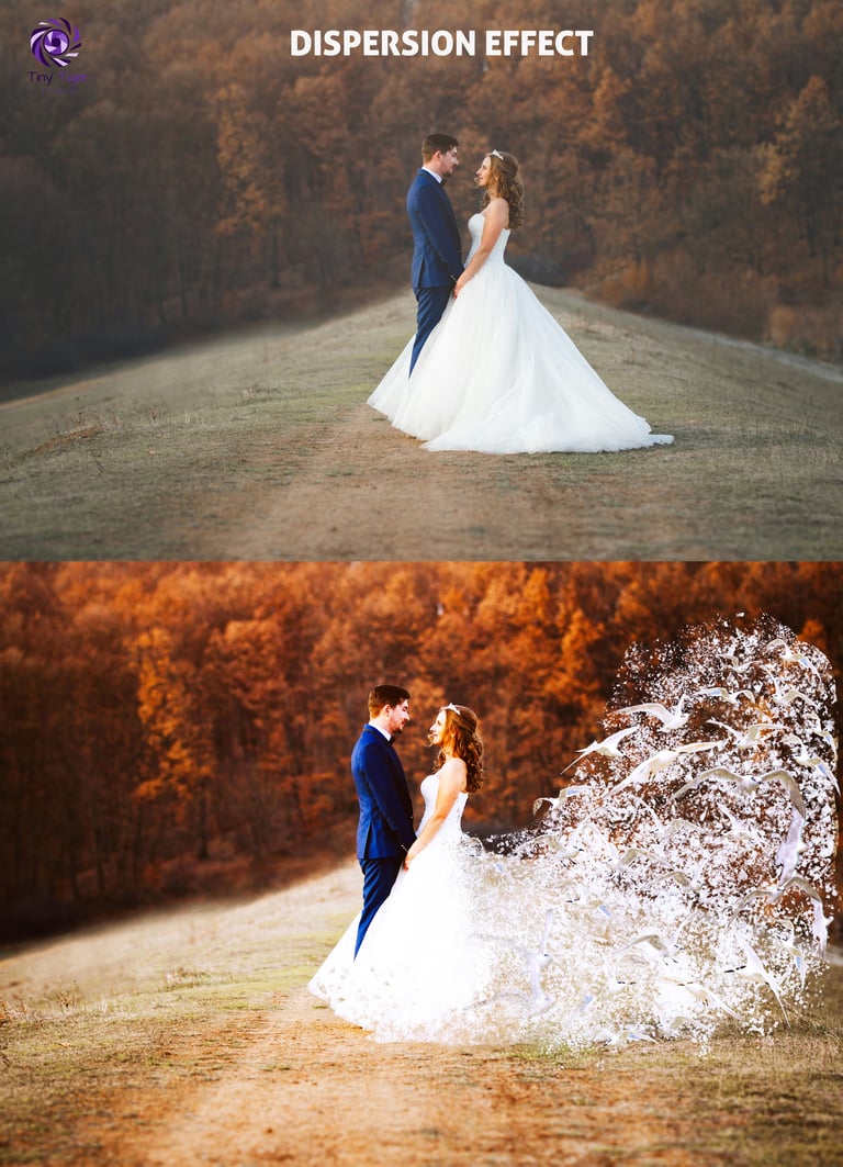 Before and after wedding photo comparison showing bride and groom with dispersion effect where dress particles dissolve into the background